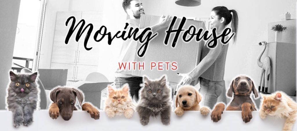 Moving House with Pets