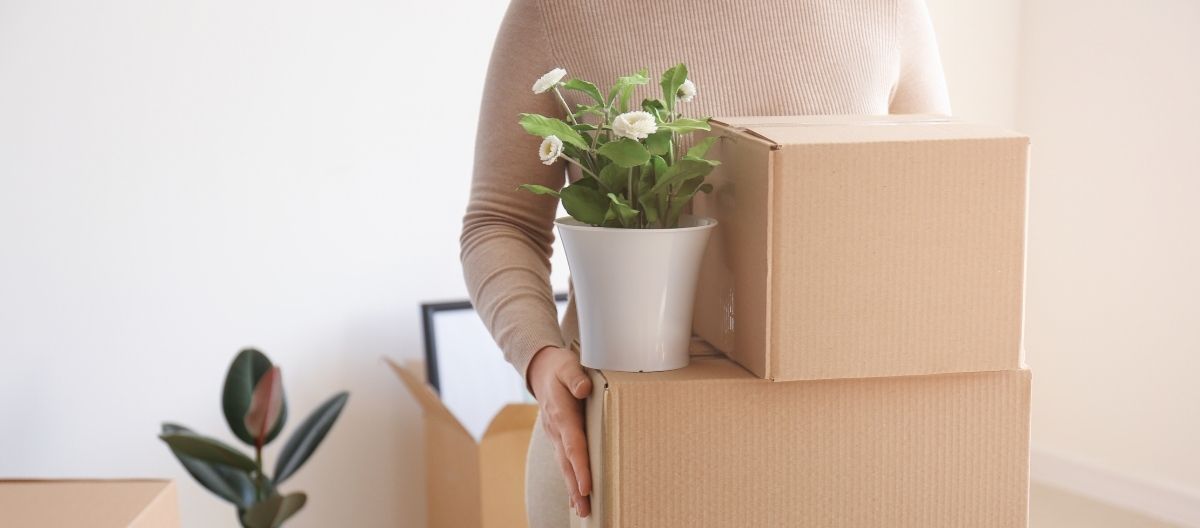 moving house with plants
