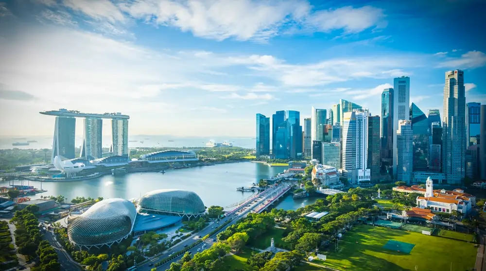 International removals to Singapore