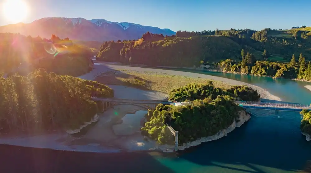 International removals to New Zealand