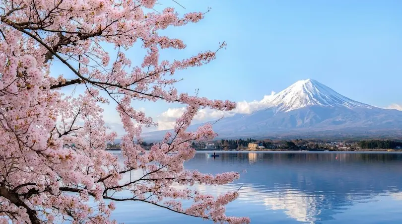 International removals to Japan